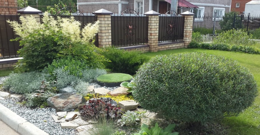 Salix Alba Ива плакучая