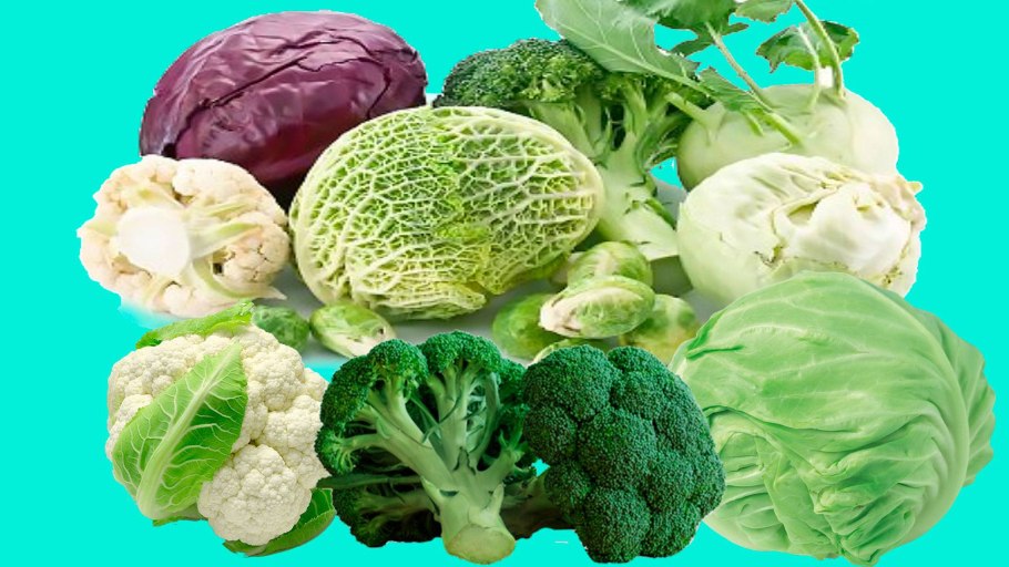 Пекинская брюссельская кольраби капусты