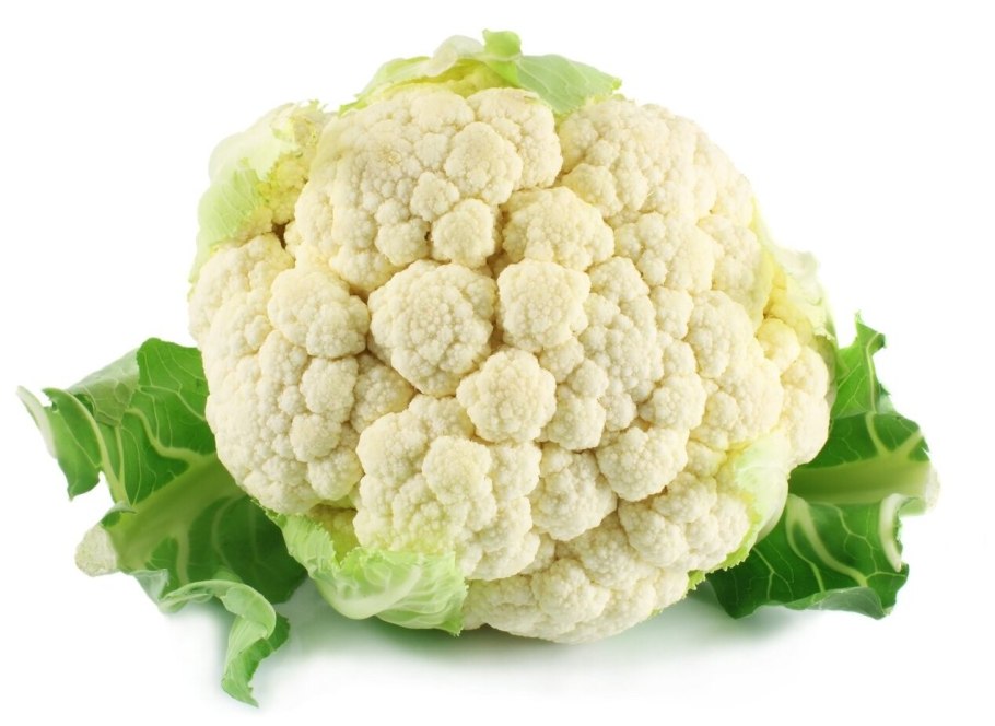 Brassica oleracea - капуста Огородная