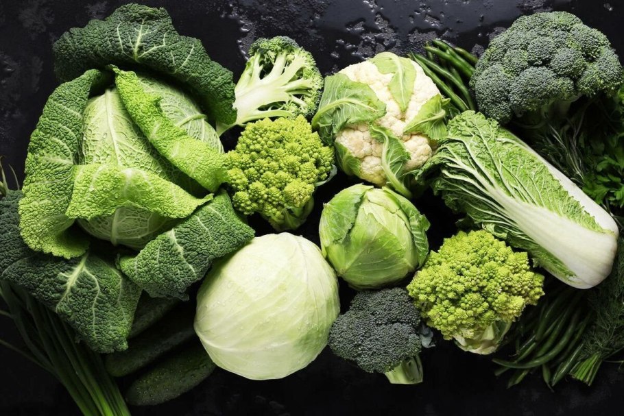 Пекинская брюссельская кольраби капусты