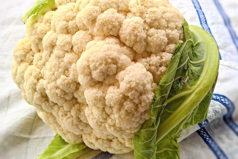 Белокочанная и краснокочанная капуста