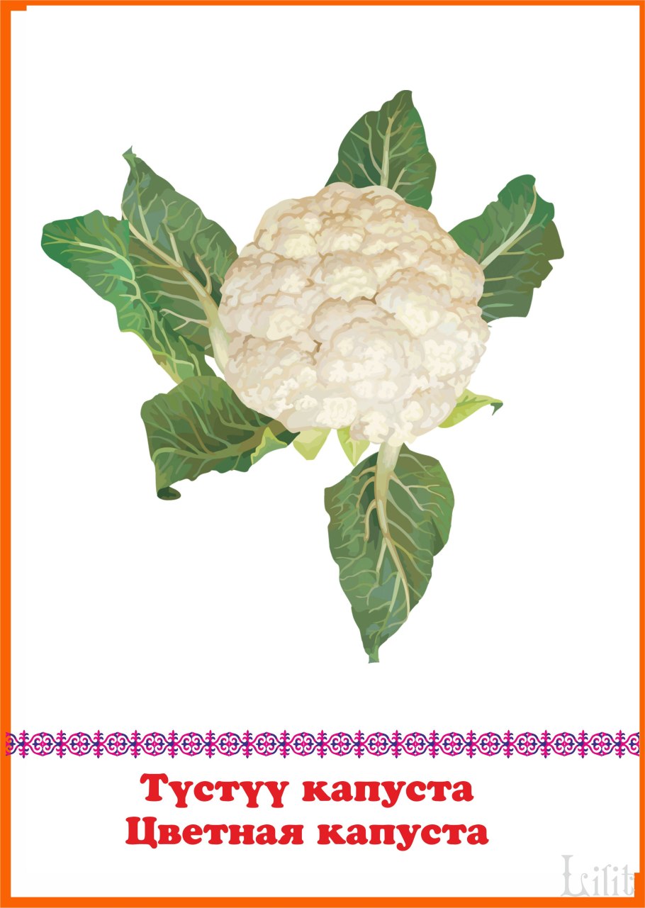 Капуста савойская краснокочанная