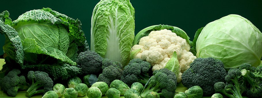 Целебная капуста