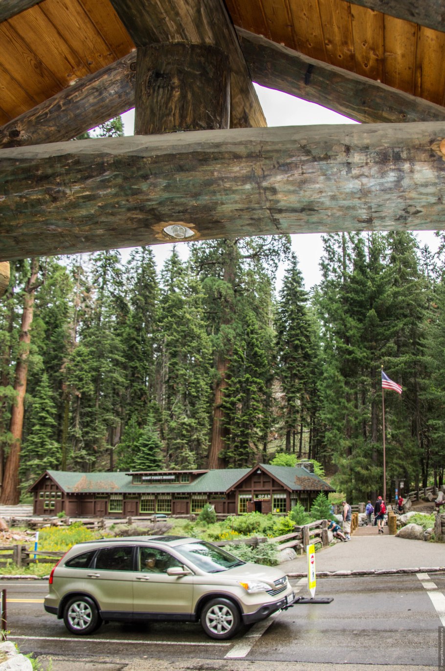 Секвойя парк Екатеринбург Уктус