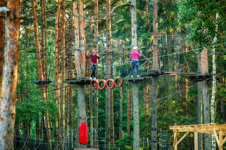 General Sherman Tree национальный парк Секвойя