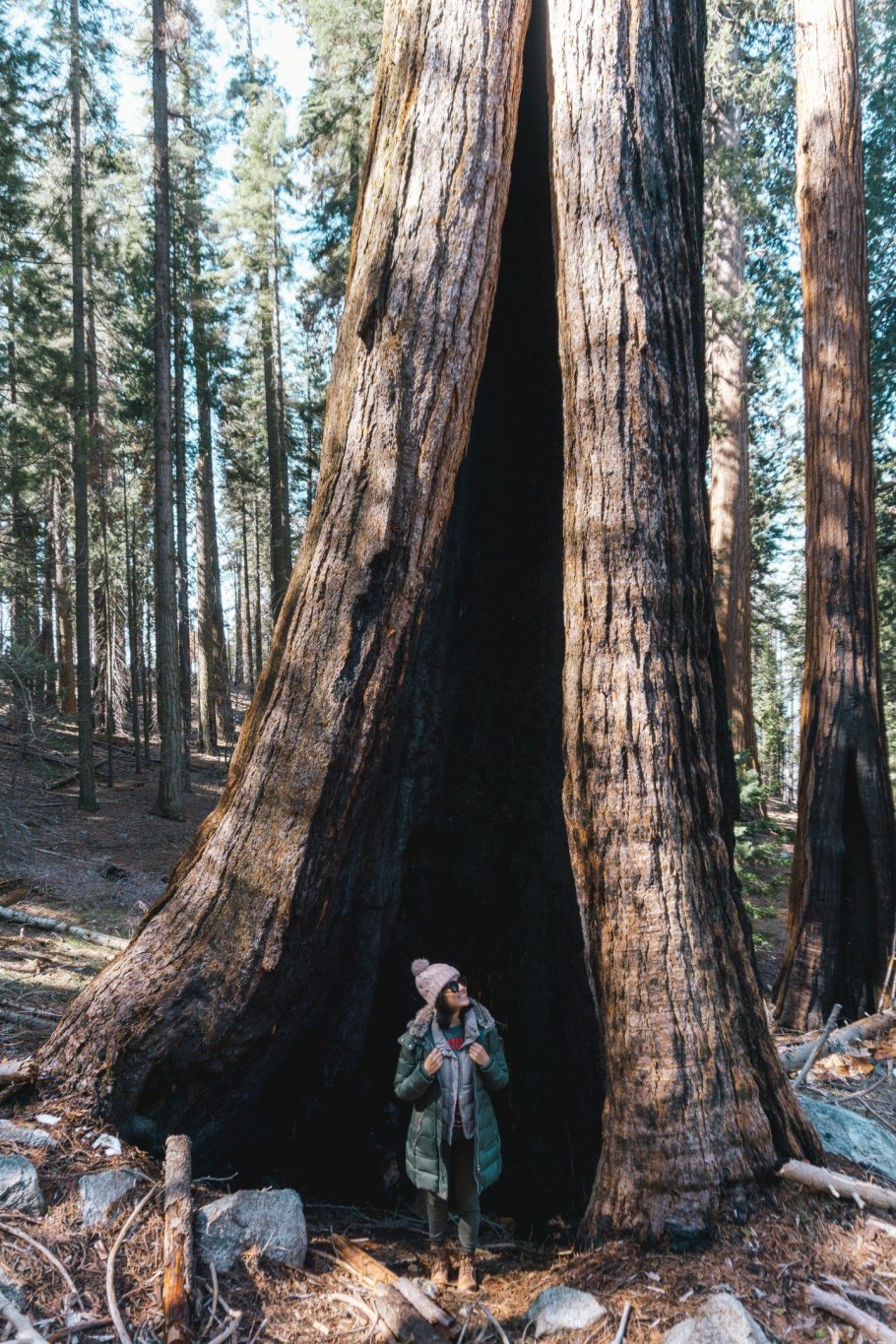 Веревочный парк Казань Лебяжье