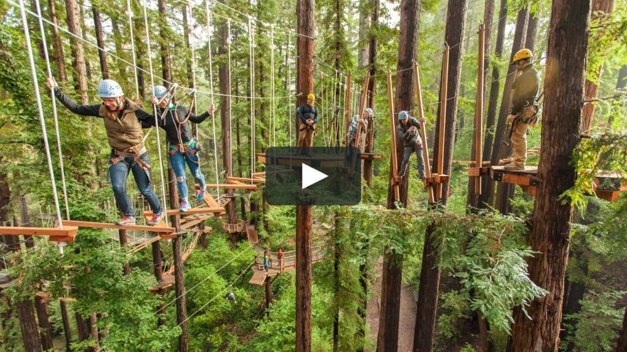 Секвойя парк Екатеринбург Уктус