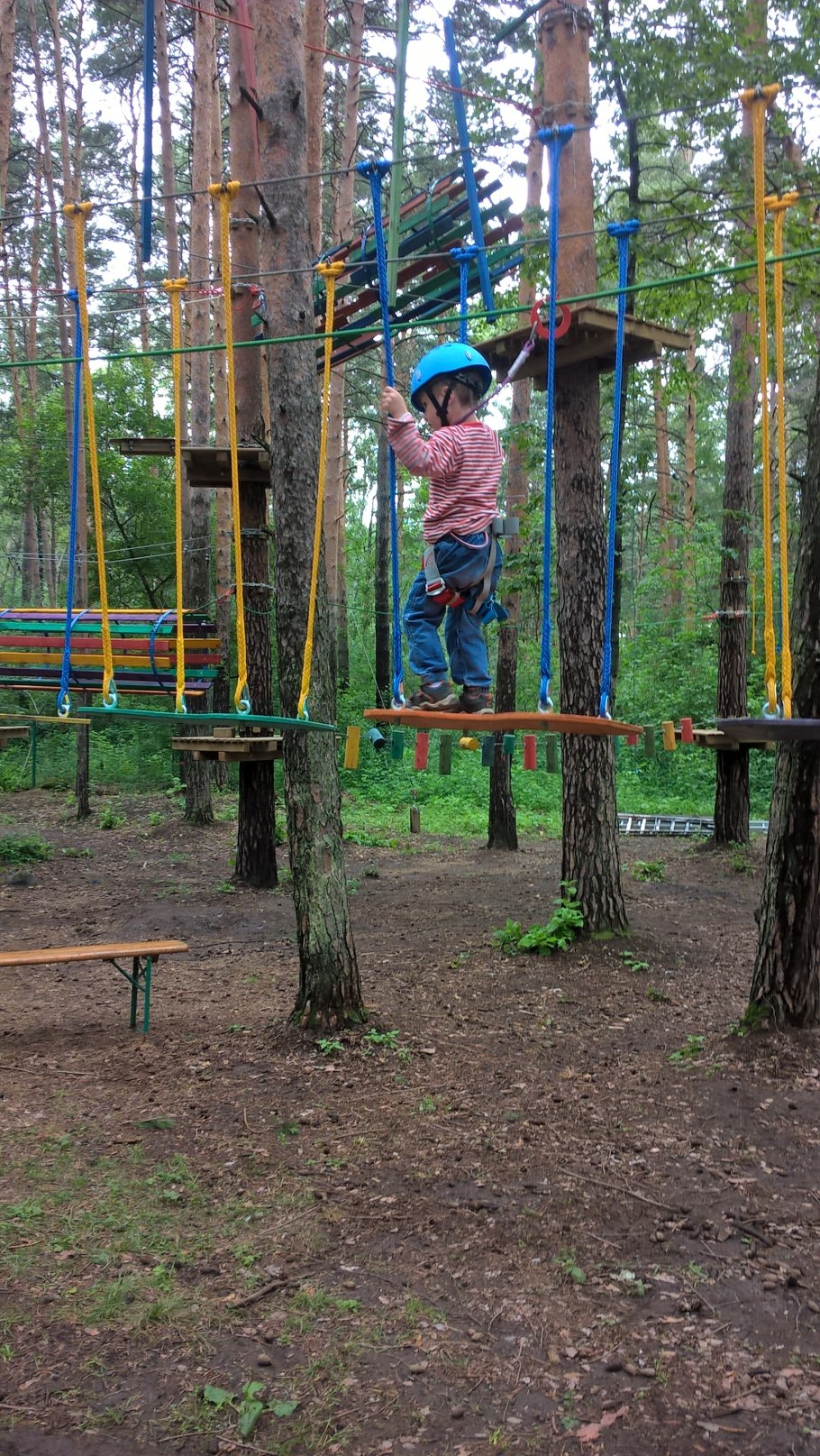 Веревочный парк Sequoia Park