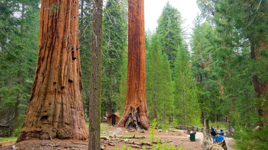 Уктусские горы Екатеринбург карта