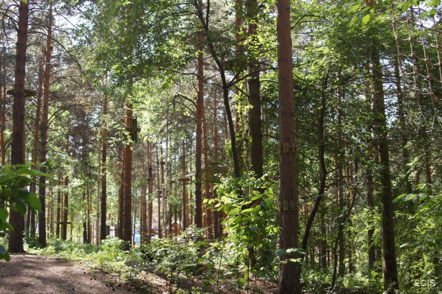 Трассы Секвойя парка Уктус