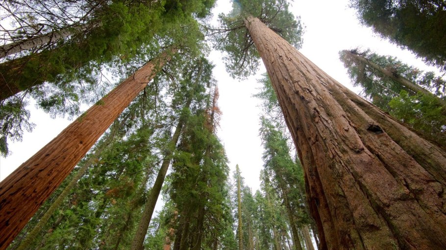 Зиплайн Бурзян