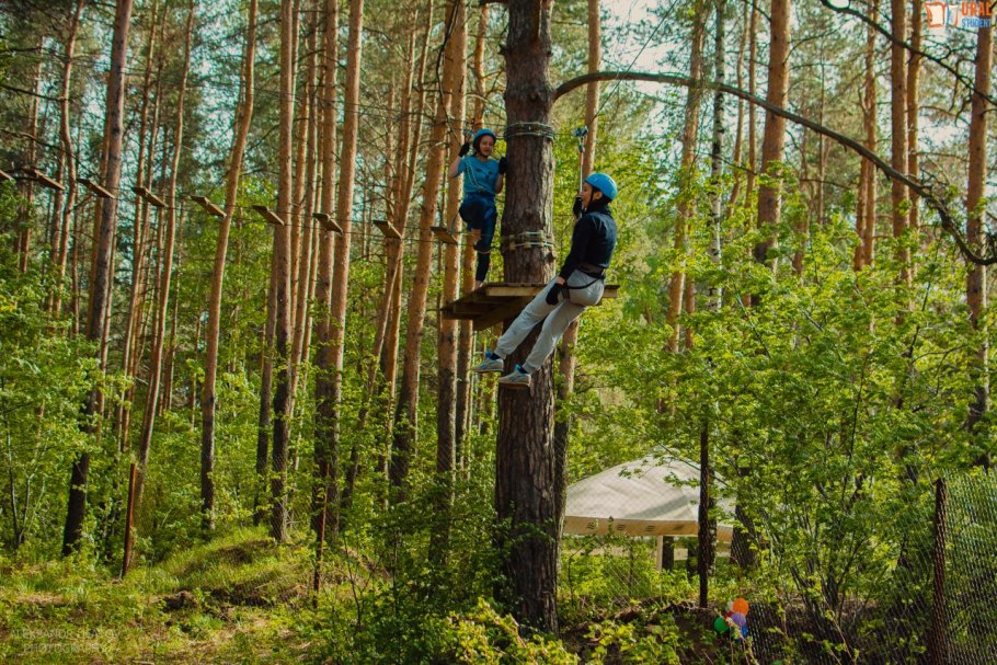 Национальный парк Секвойя 1890