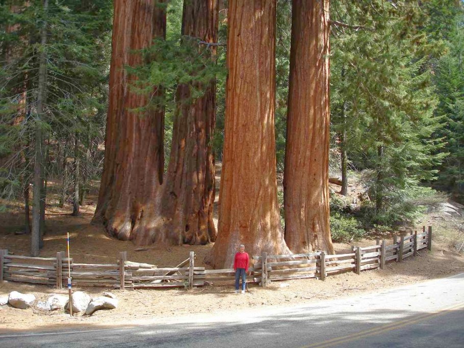 Веревочный парк Уктус