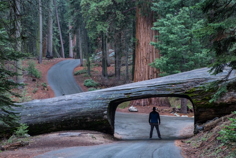 Парк Секвойя Калифорния