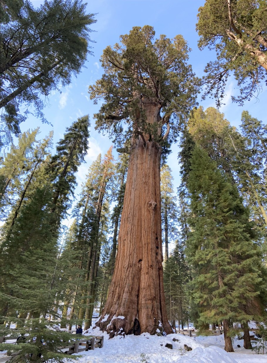 Горнолыжный клуб Уктус Екатеринбург