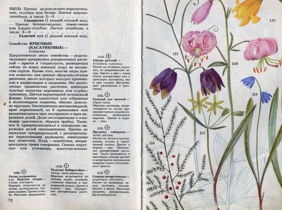 Школьный атлас определитель растений