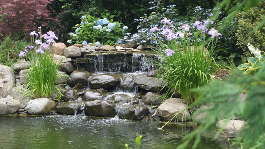 Красивый ручей в саду