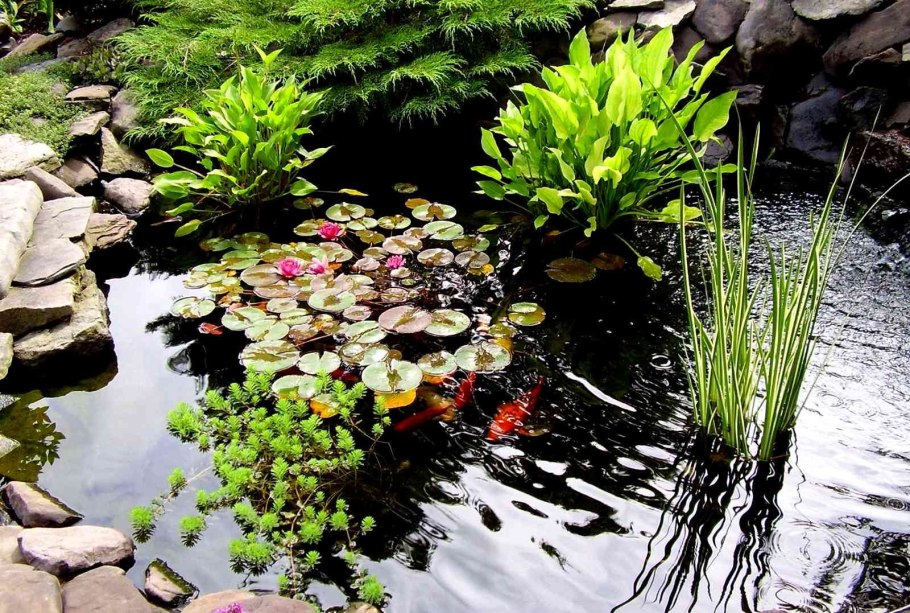 Декоративный пруд