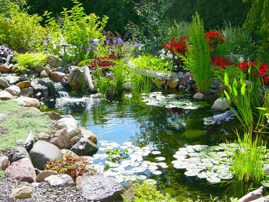 Пруд в саду