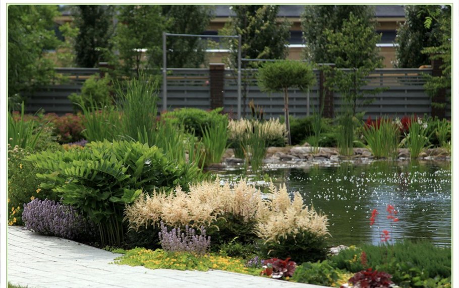 Волжанка с астильбой