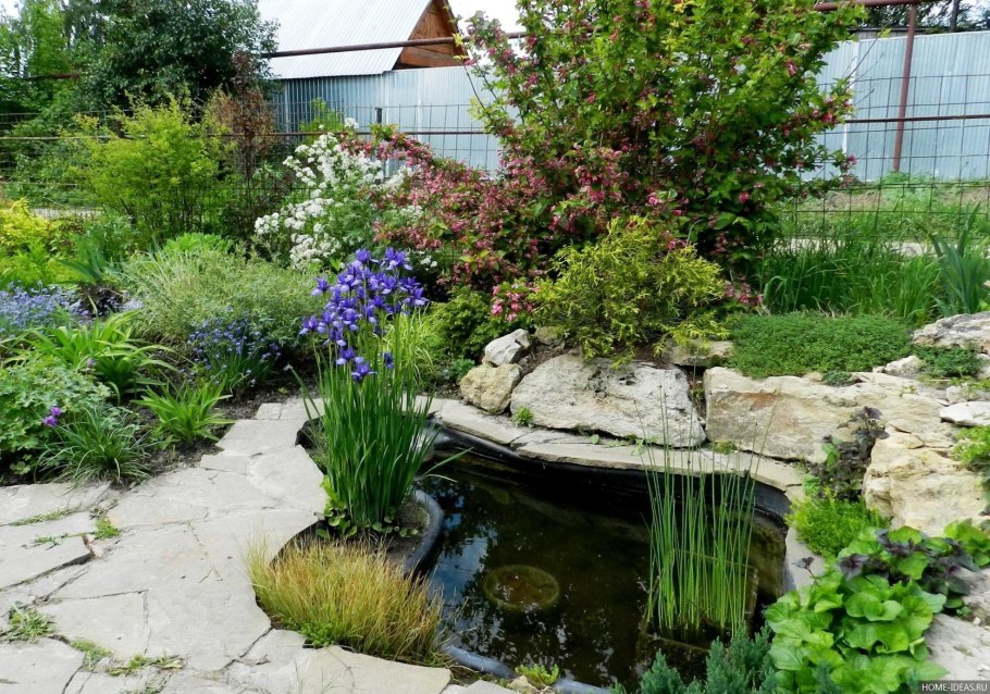 Альпийская горка вокруг пруда