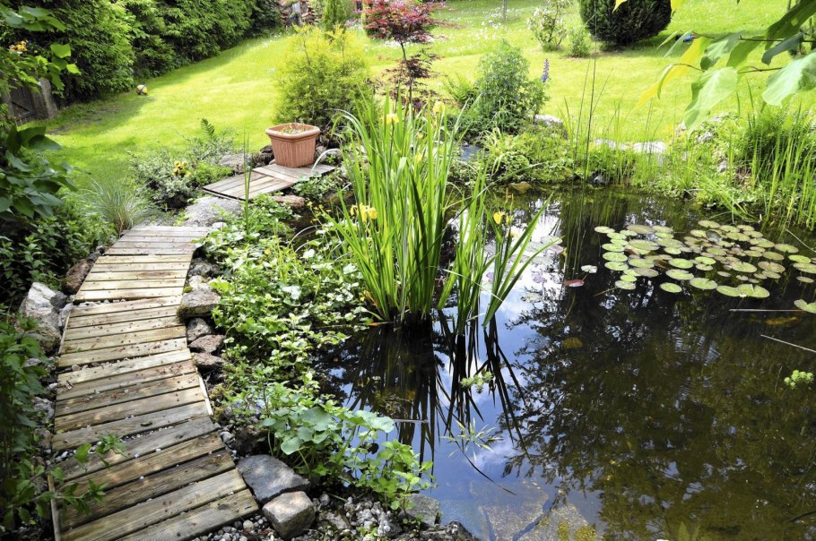 Красивый сад с прудом