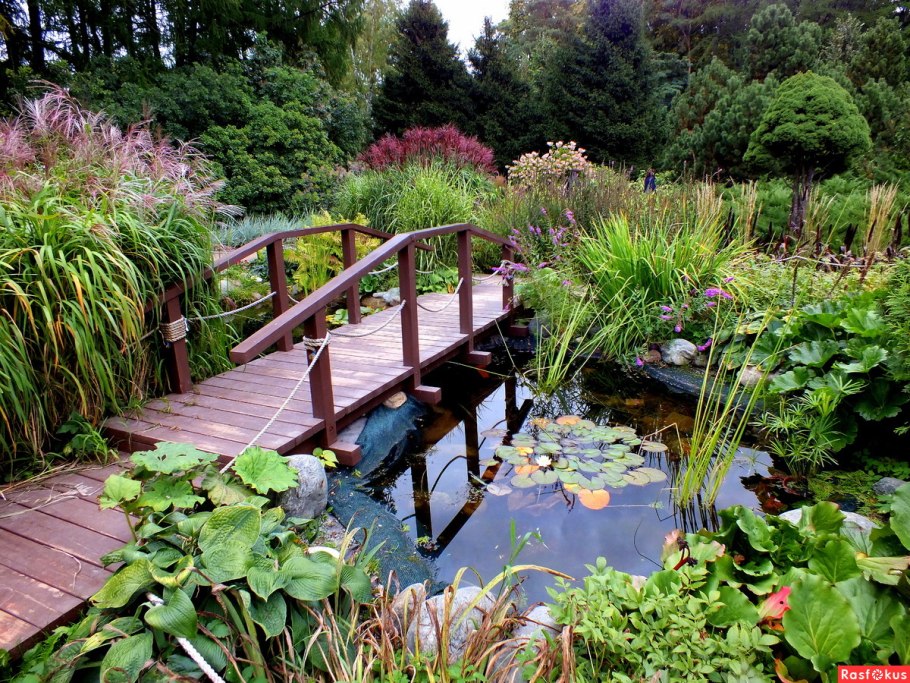 Мостки ручей пруд