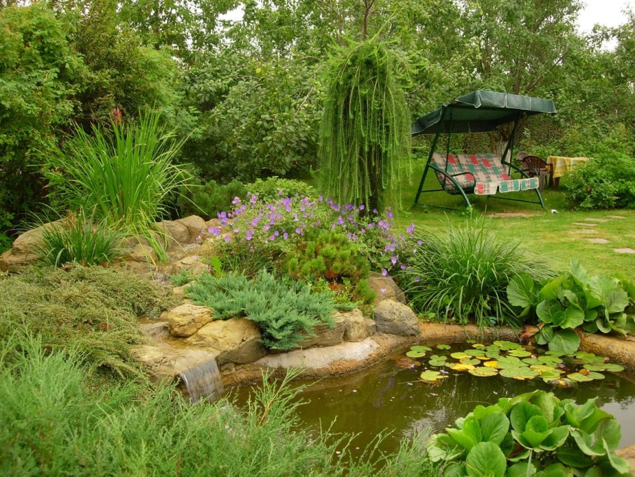 Прудик Ива Козья