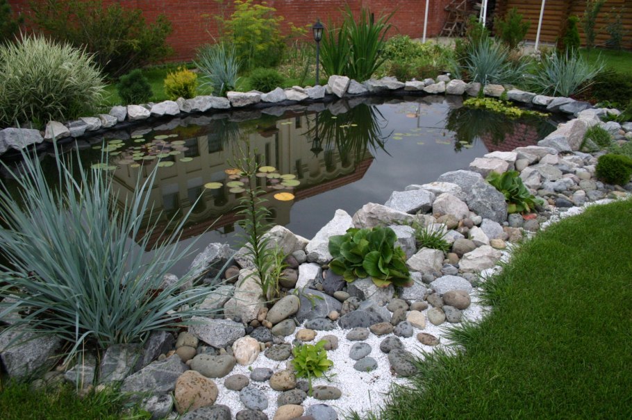 Растения для биоплато