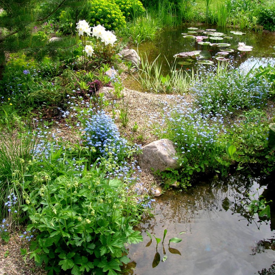 Водоемы и ручьи в саду