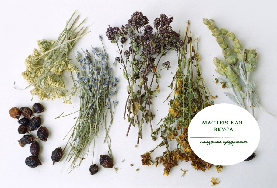 Дикорастущие съедобные растения книга