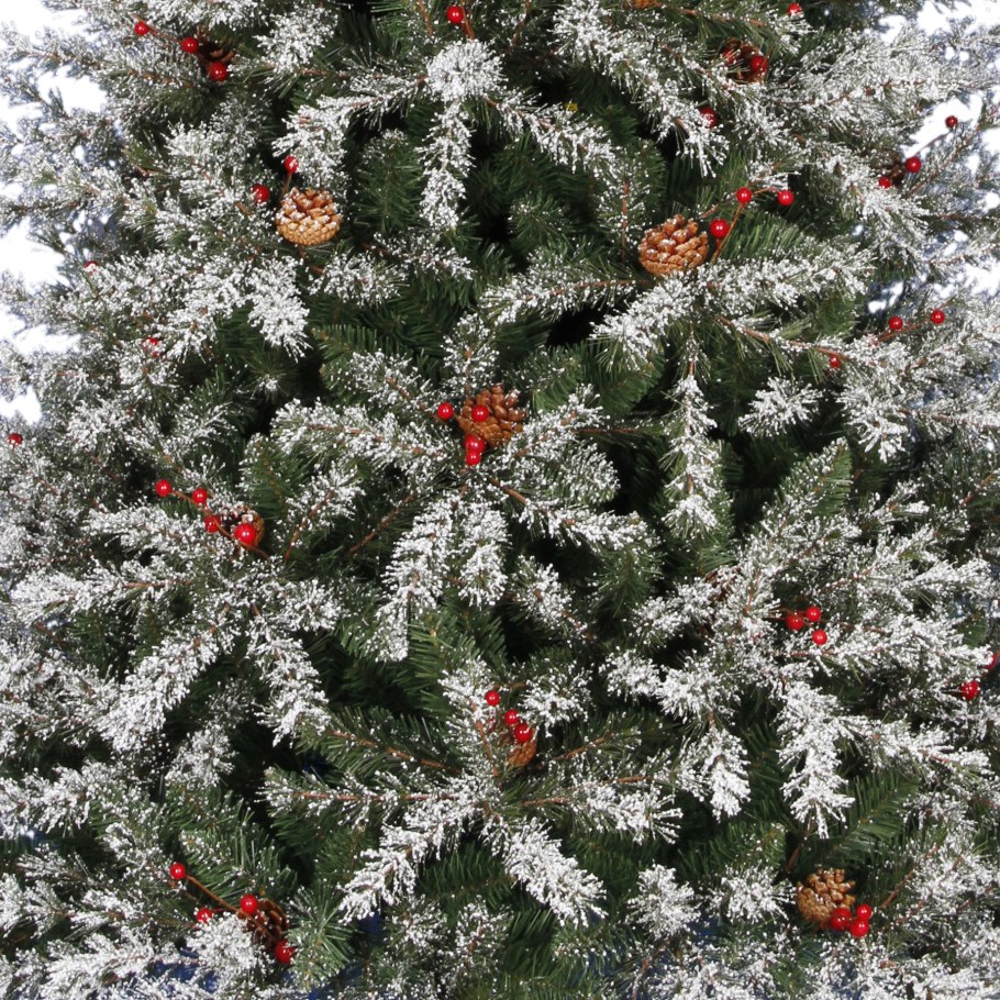 Тис ягодный (Taxus baccata David p9)