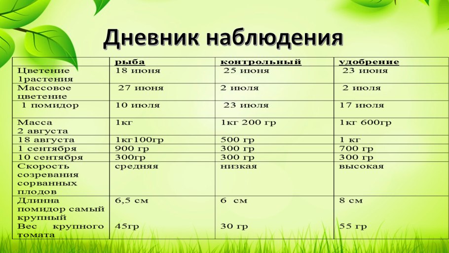 Различия однодольных и двудольных растений таблица