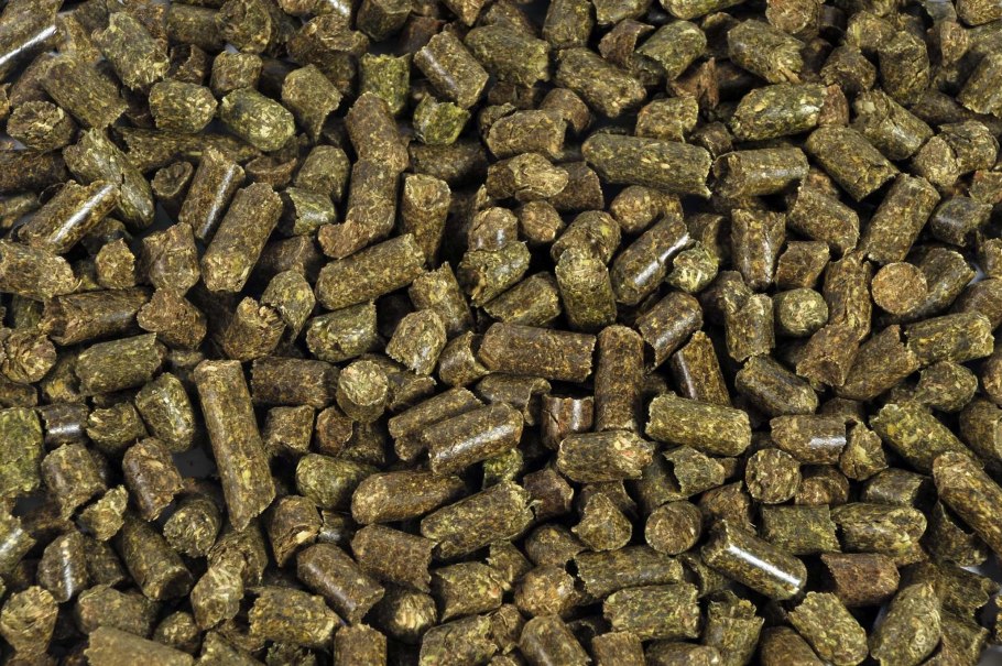 Шрот подсолнечный тостированный