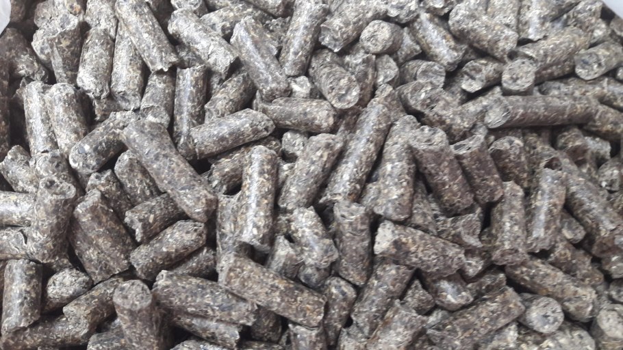 Шрот подсолнечный тостированный