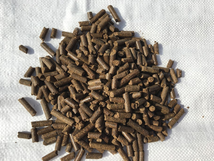 Шрот рапсовый гранулированный