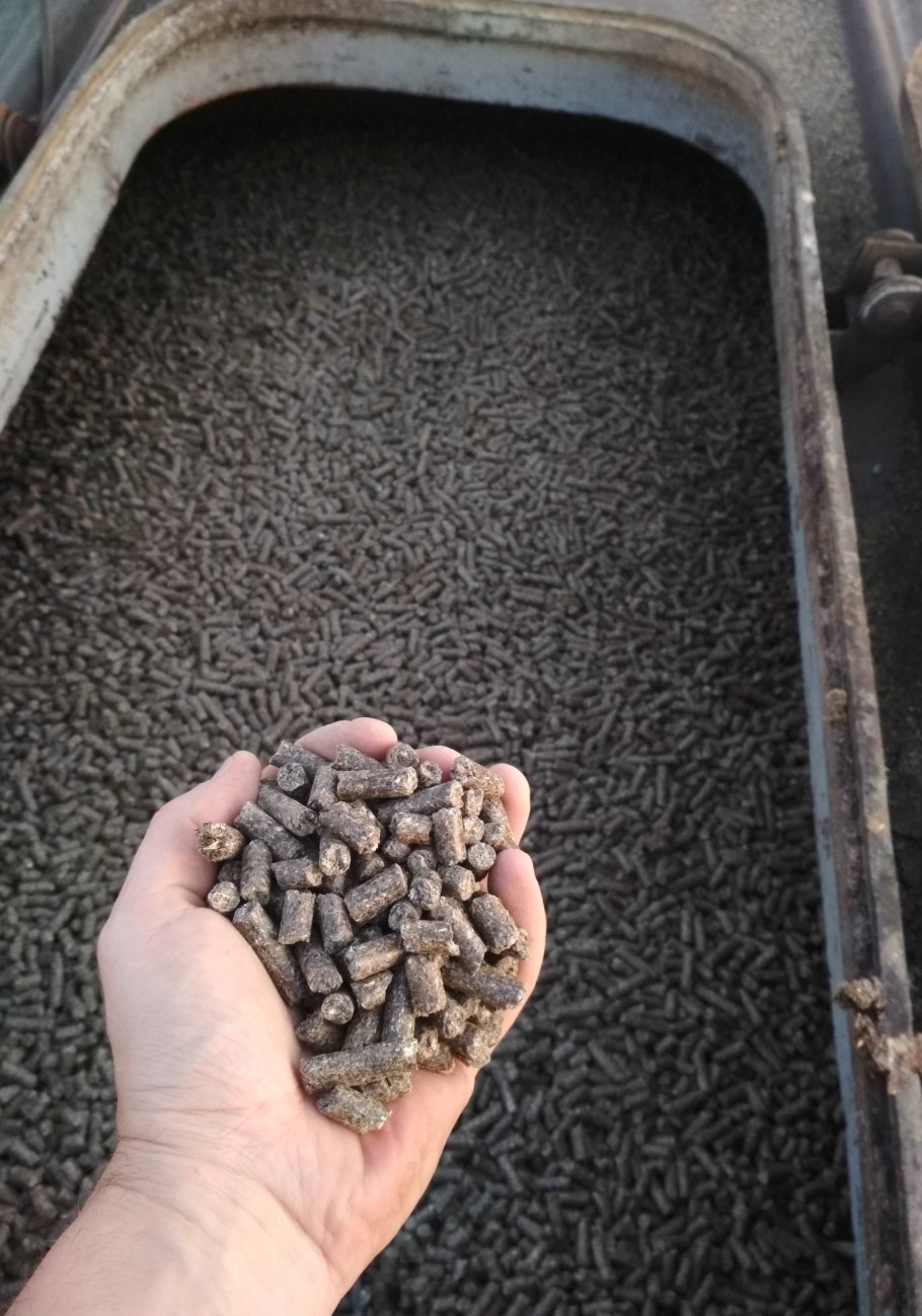 Шрот подсолнечный тостированный