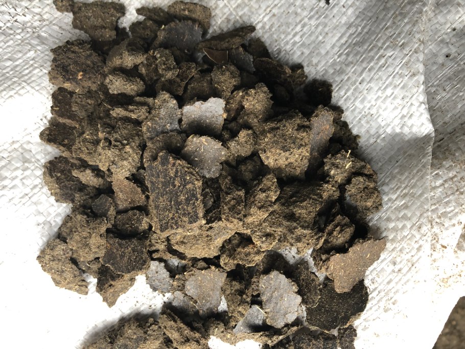 Шрот рапсовый Содружество