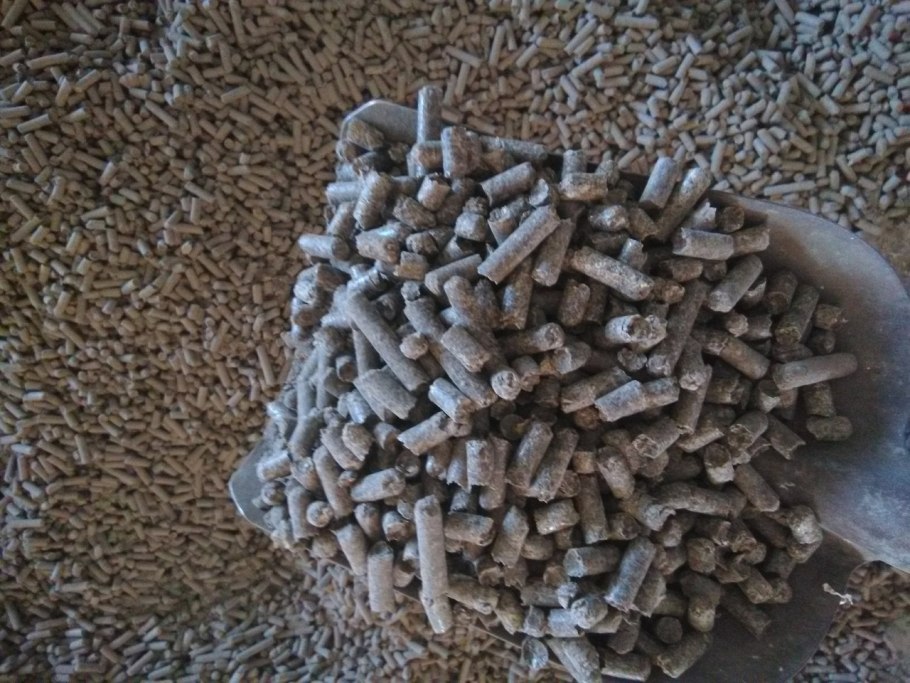 Шрот подсолнечный тостированный