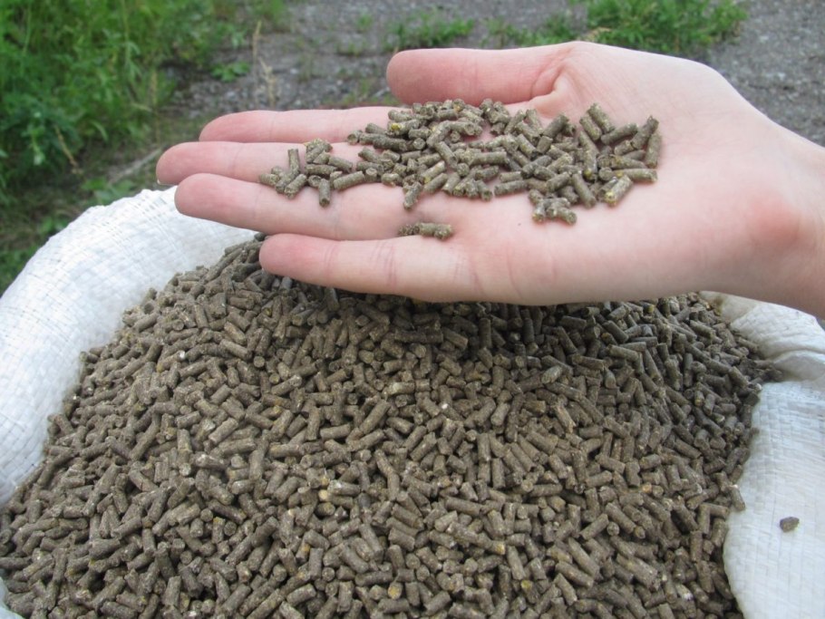 Шрот рапсовый