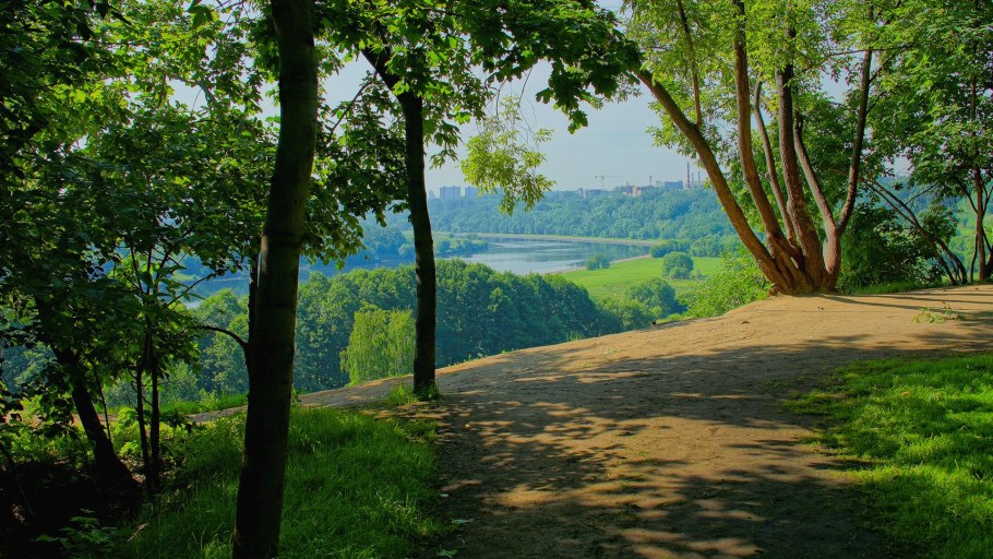 Лесная Поляна Тула вид парка