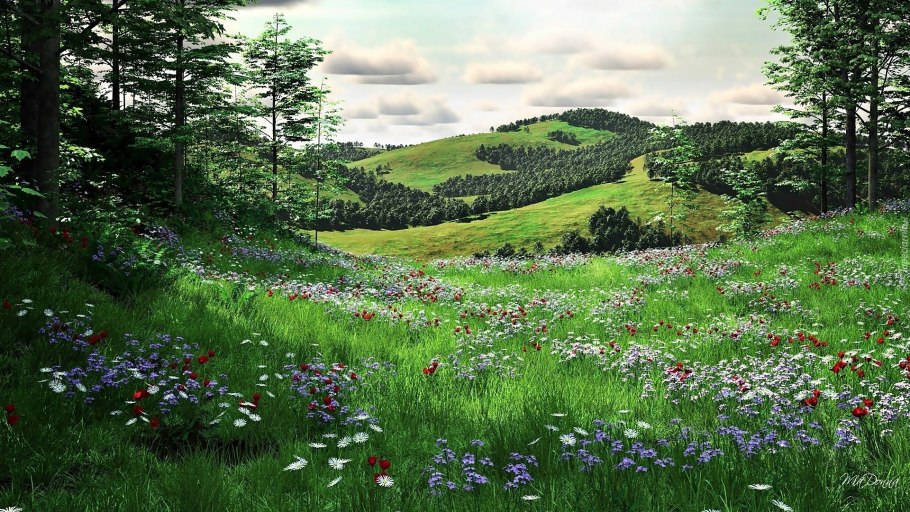 Сказочный луг