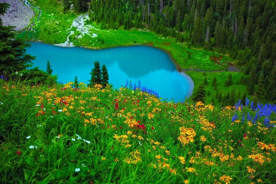 Баварский лес озеро