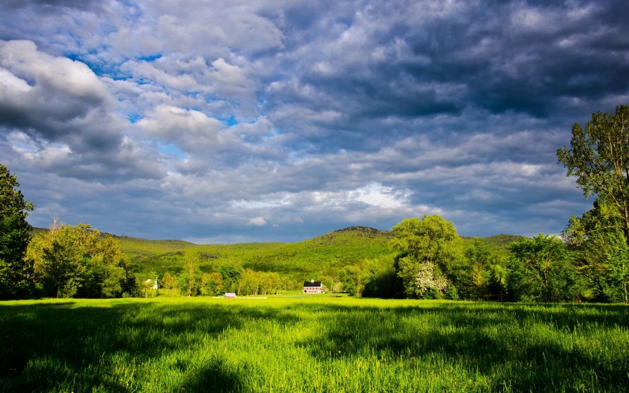 Пейзаж лес и небо