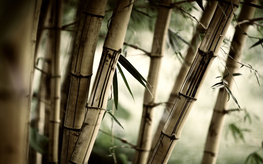 Bamboo nature 119х60х11