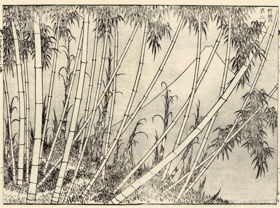 100 Видов Фудзи