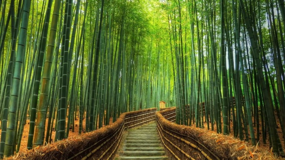 Лощина Хэйчжу