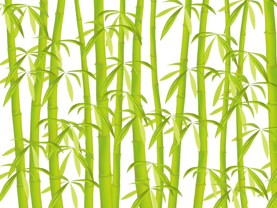 Японский бамбук Мадаке