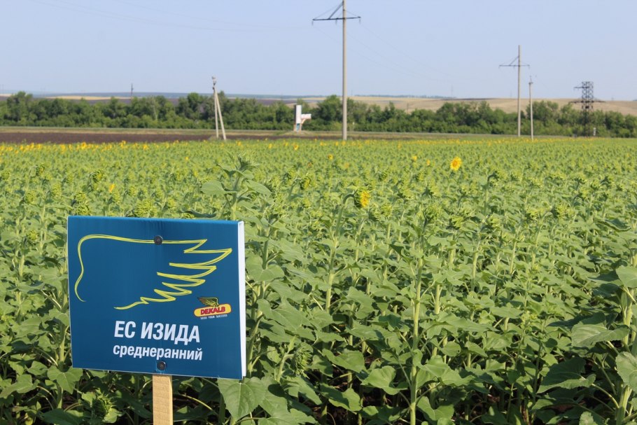 ООО садик Тюльганский район