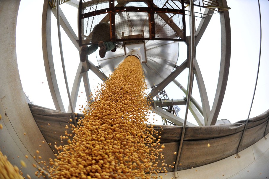 Переработка зерна кукурузы